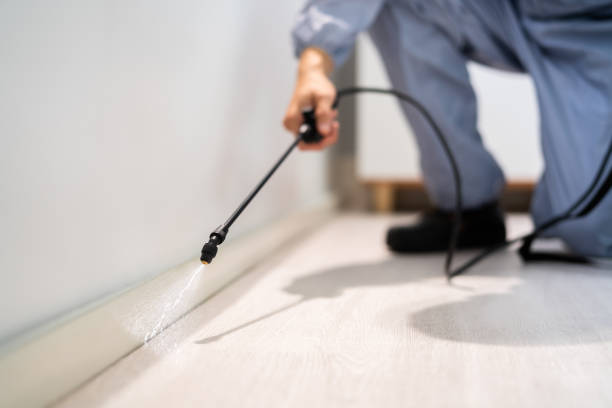 Licensed Cockroach Control service in Allen, TX - Nex Pest Control