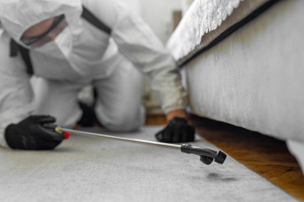 Professional Cockroach Control technician working in Allen, TX