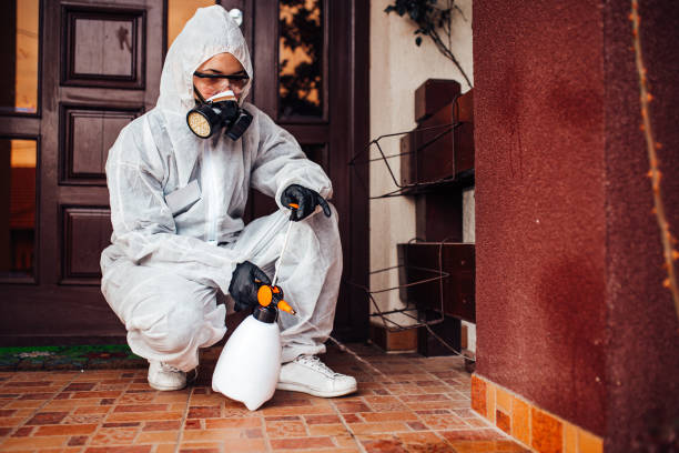 Reliable Cockroach Control contractor in Allen, TX by Nex Pest Control
